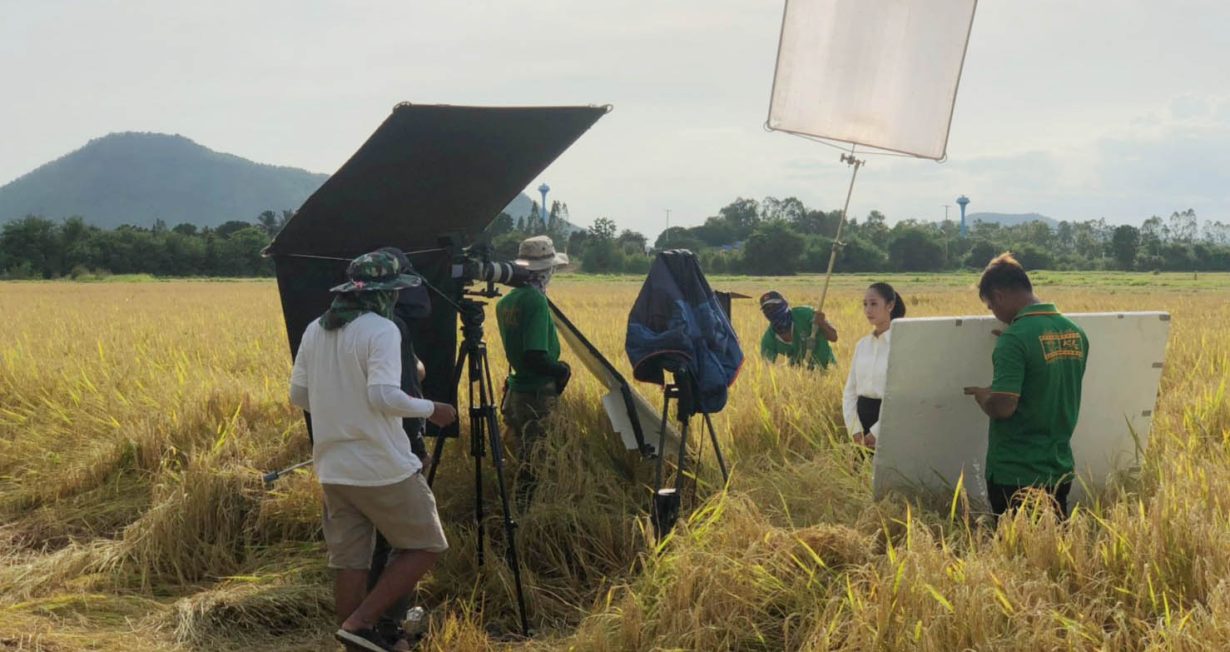 66499417_2258233401157237_8056969922690940928_n